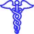Healthcare icon